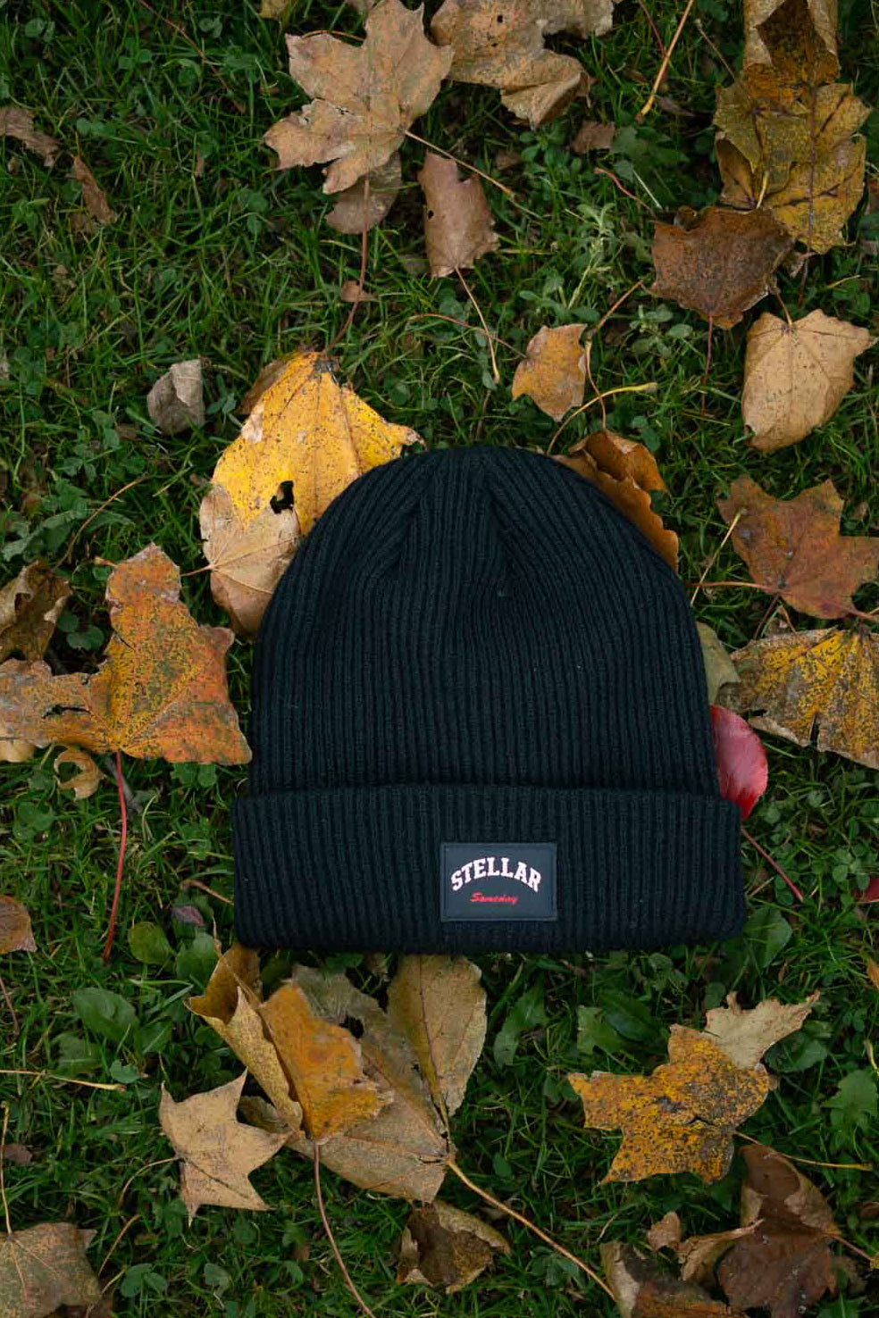 STELLAR SOMEDAY COAL BLACK BEANIE