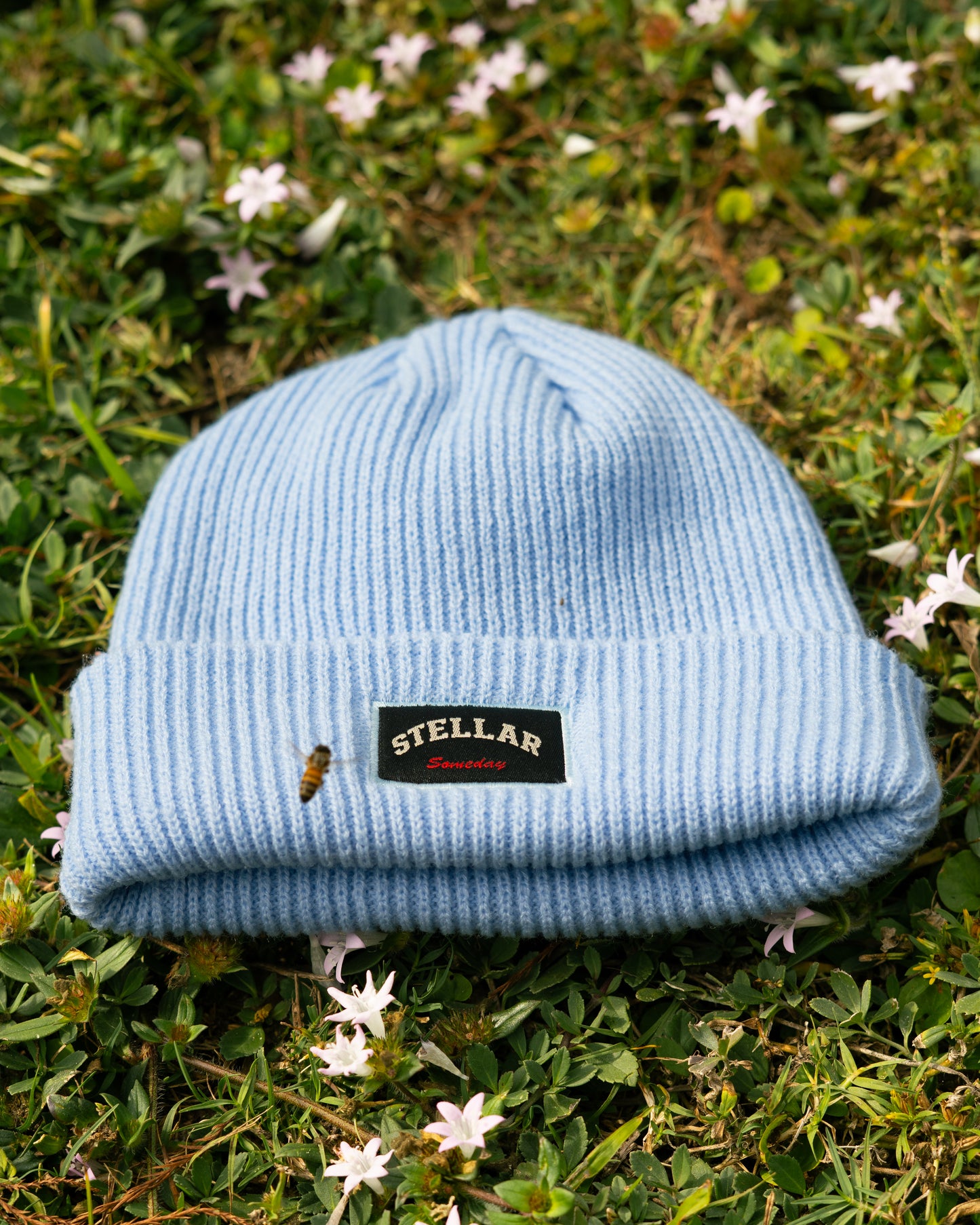 STELLAR SOMEDAY SKY BLUE BEANIE