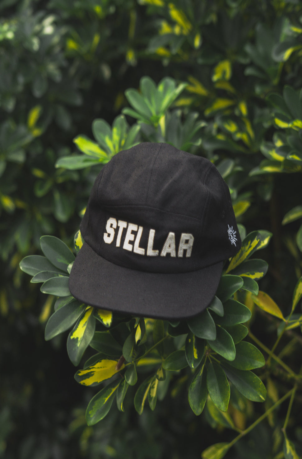 OG STELLAR CAMPER HAT
