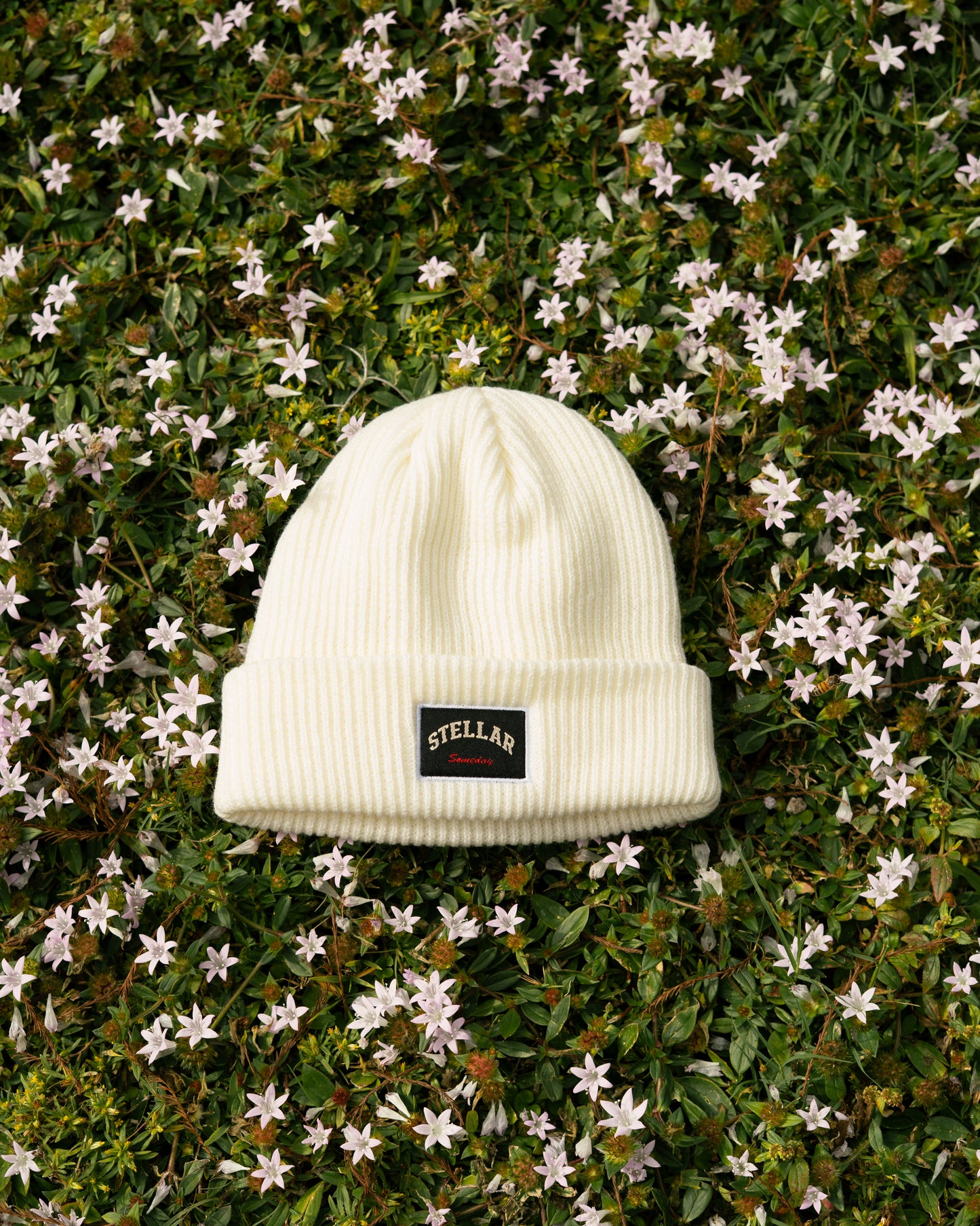 STELLAR SOMEDAY CRISP WHITE BEANIE