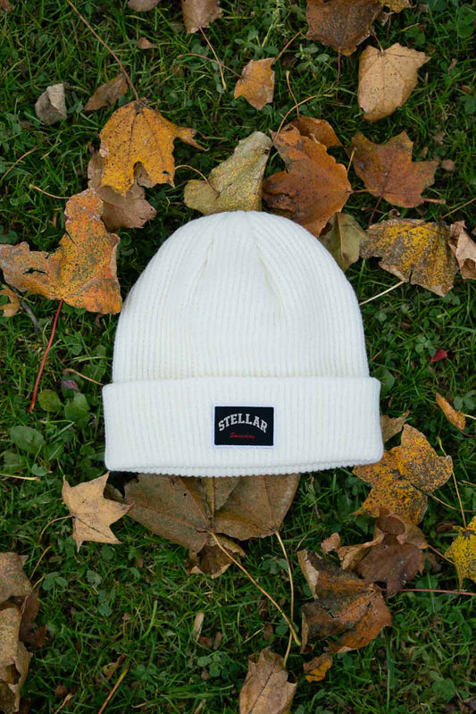 STELLAR SOMEDAY CRISP WHITE BEANIE