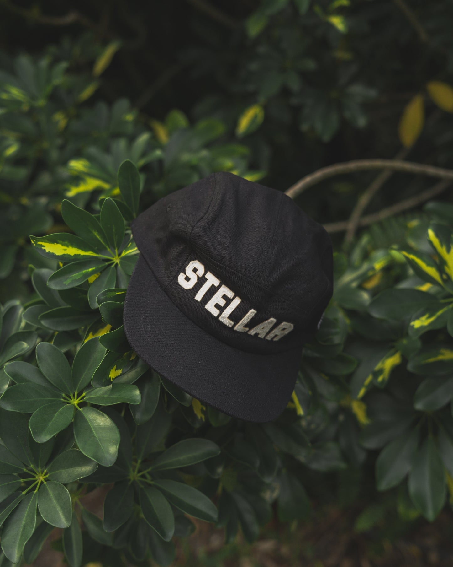 OG STELLAR CAMPER HAT